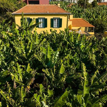 Casa D'Avo Celina Villa Фуншал Екстериор снимка