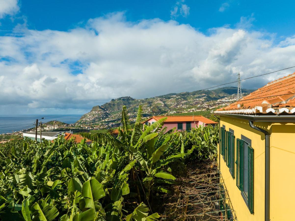 Casa D'Avo Celina Villa Фуншал Екстериор снимка